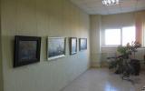 В выставочном зале СФ РЭУ проводятся выставки картин различных украинских художников