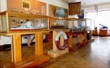 Музей Краснознаменного Черноморского Флота в Севастополе. Пятый зал